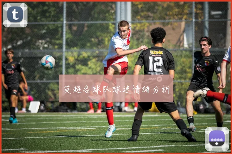 英超各球队球迷情绪分析